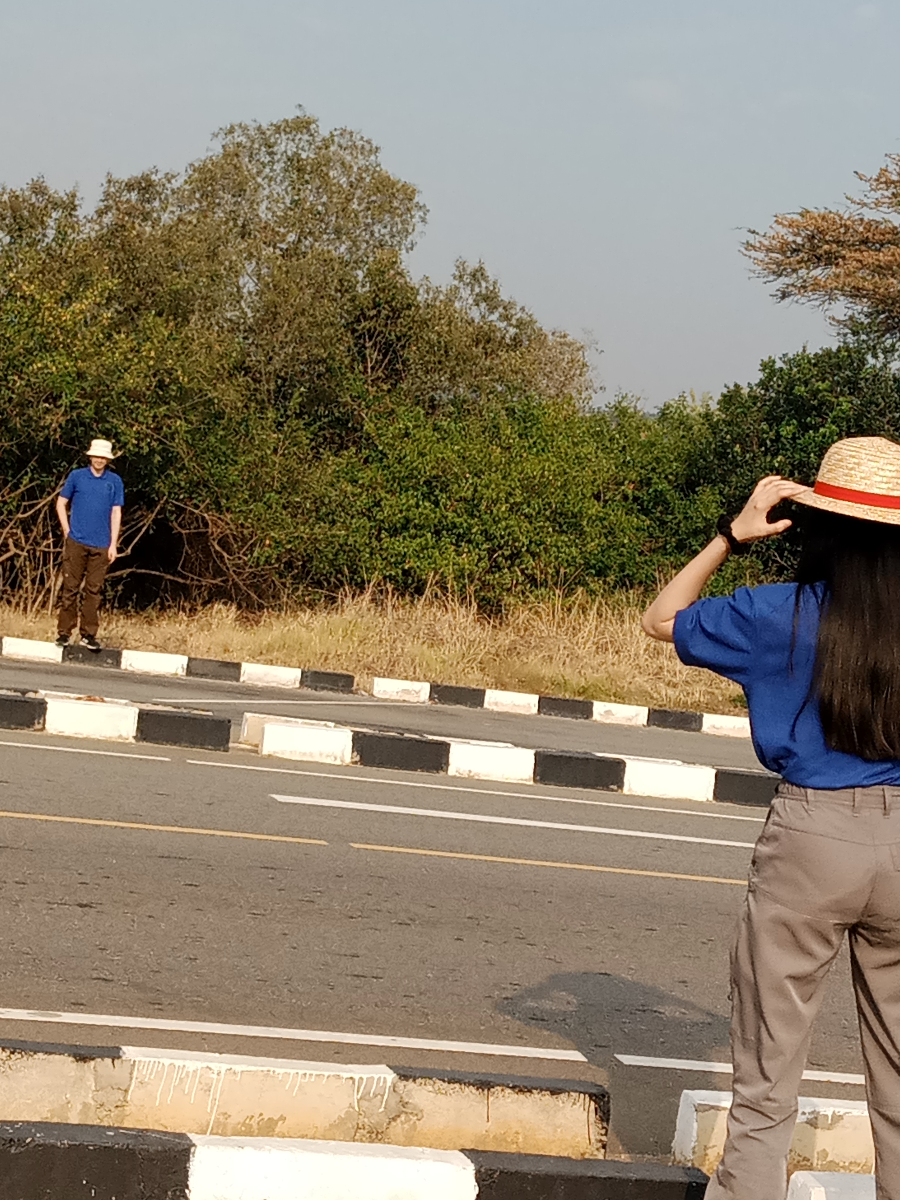 WildMed Safaris